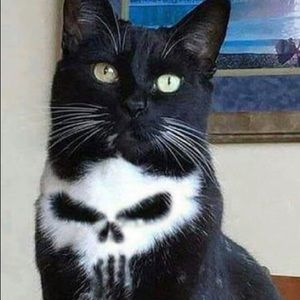 Meet your Posher, Sally